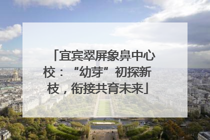 宜宾翠屏象鼻中心校：“幼芽”初探新枝，衔接共育未来