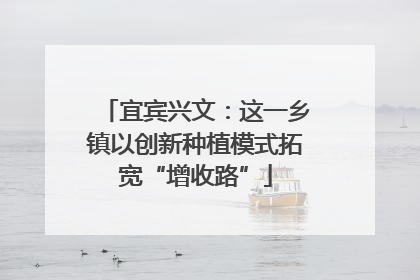 宜宾兴文：这一乡镇以创新种植模式拓宽“增收路”