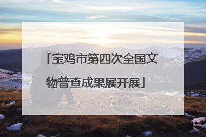 宝鸡市第四次全国文物普查成果展开展