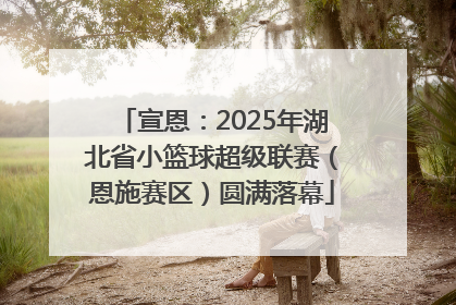 宣恩：2025年湖北省小篮球超级联赛（恩施赛区）圆满落幕