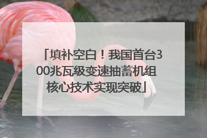 填补空白！我国首台300兆瓦级变速抽蓄机组核心技术实现突破