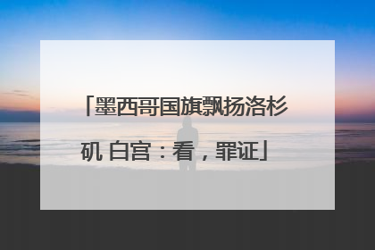 墨西哥国旗飘扬洛杉矶 白宫：看，罪证