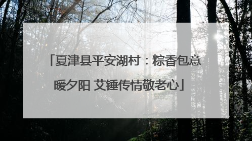 夏津县平安湖村：粽香包意暖夕阳 艾锤传情敬老心