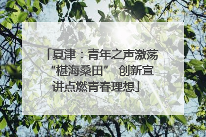 夏津：青年之声激荡“椹海桑田” 创新宣讲点燃青春理想