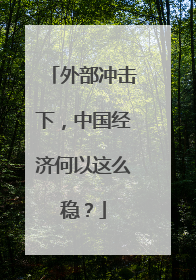 外部冲击下，中国经济何以这么稳？