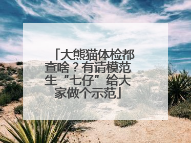 大熊猫体检都查啥？有请模范生“七仔”给大家做个示范