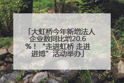 大虹桥今年新增法人企业数同比增20.6%！“走进虹桥 走进进博”活动举办