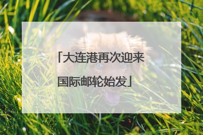 大连港再次迎来国际邮轮始发