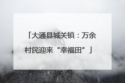 大通县城关镇：万余村民迎来“幸福田”