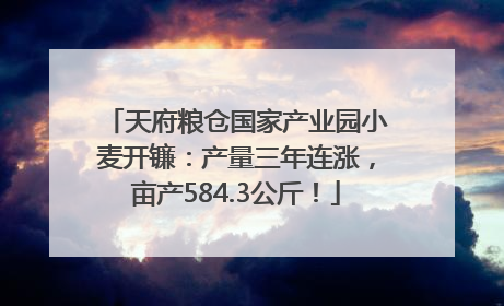 天府粮仓国家产业园小麦开镰：产量三年连涨，亩产584.3公斤！