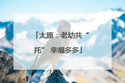 太原：老幼共“托” 幸福多多