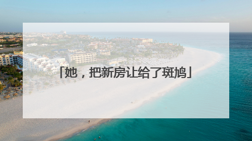 她，把新房让给了斑鸠