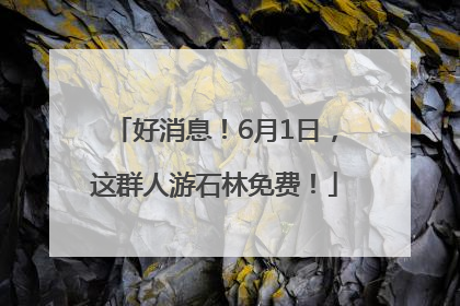好消息！6月1日，这群人游石林免费！