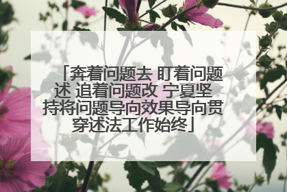 奔着问题去 盯着问题述 追着问题改 宁夏坚持将问题导向效果导向贯穿述法工作始终