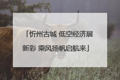忻州古城 低空经济展新彩 乘风扬帆启航来