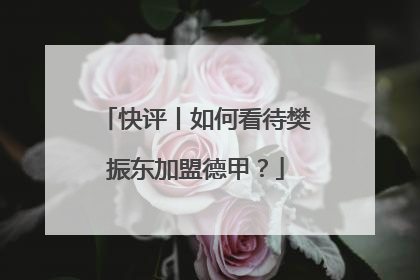 快评丨如何看待樊振东加盟德甲？