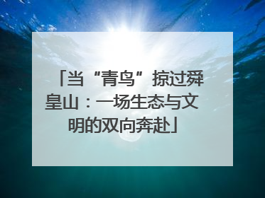 当“青鸟”掠过舜皇山：一场生态与文明的双向奔赴