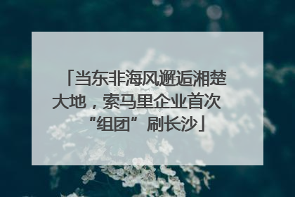 当东非海风邂逅湘楚大地，索马里企业首次“组团”刷长沙