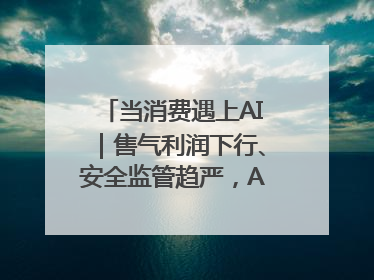 当消费遇上AI｜售气利润下行、安全监管趋严，AI浪潮下城燃企业如何破局
