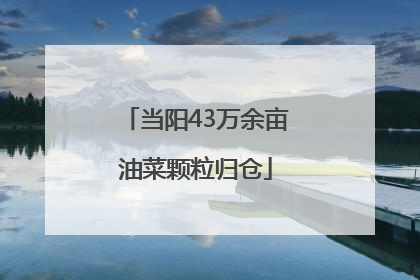 当阳43万余亩油菜颗粒归仓