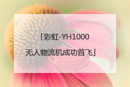 彩虹-YH1000无人物流机成功首飞