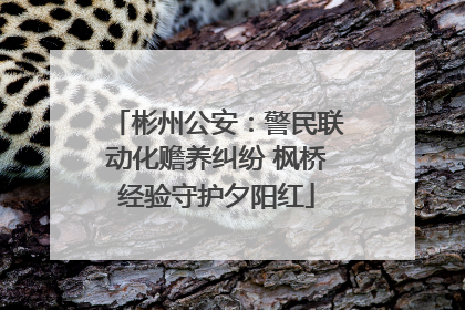彬州公安：警民联动化赡养纠纷 枫桥经验守护夕阳红