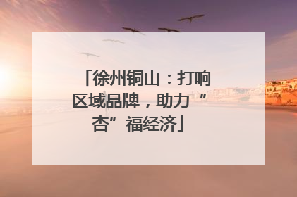 徐州铜山：打响区域品牌，助力“杏”福经济