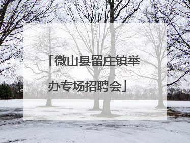 微山县留庄镇举办专场招聘会