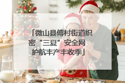 微山县傅村街道织密“三夏”安全网 护航丰产丰收季