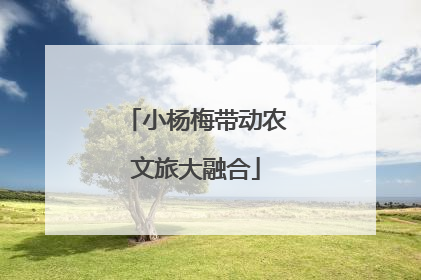 小杨梅带动农文旅大融合