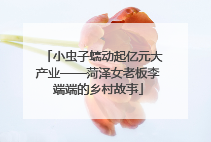 小虫子蠕动起亿元大产业——菏泽女老板李端端的乡村故事