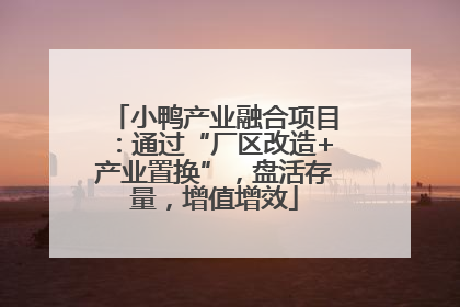 小鸭产业融合项目：通过“厂区改造+产业置换”，盘活存量，增值增效