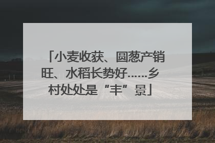小麦收获、圆葱产销旺、水稻长势好……乡村处处是“丰”景