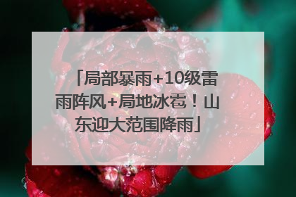 局部暴雨+10级雷雨阵风+局地冰雹！山东迎大范围降雨
