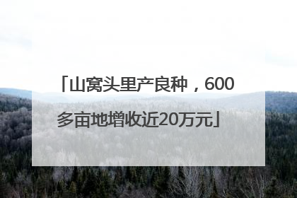山窝头里产良种，600多亩地增收近20万元