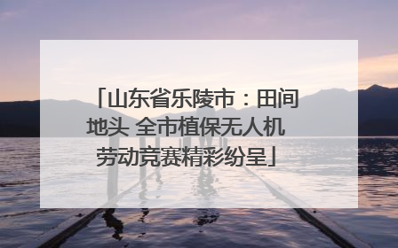 山东省乐陵市：田间地头 全市植保无人机劳动竞赛精彩纷呈