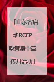 山东省启动RCEP政策集中宣传月活动