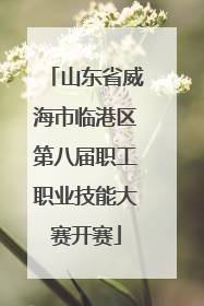 山东省威海市临港区第八届职工职业技能大赛开赛