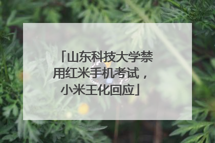 山东科技大学禁用红米手机考试，小米王化回应
