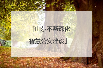 山东不断深化智慧公安建设