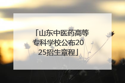 山东中医药高等专科学校公布2025招生章程