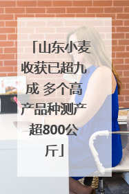 山东小麦收获已超九成 多个高产品种测产超800公斤