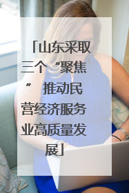 山东采取三个“聚焦” 推动民营经济服务业高质量发展