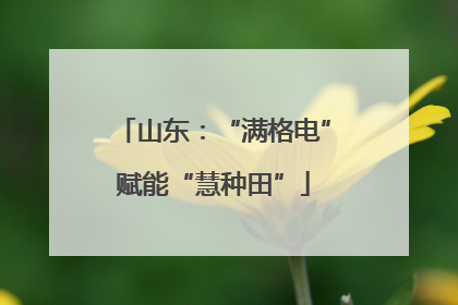 山东：“满格电”赋能“慧种田”