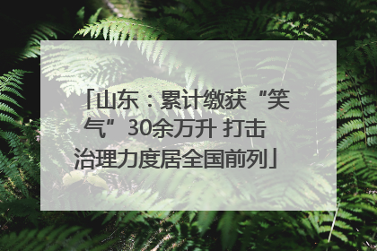 山东：累计缴获“笑气”30余万升 打击治理力度居全国前列