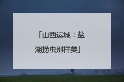 山西运城：盐湖捞虫别样美