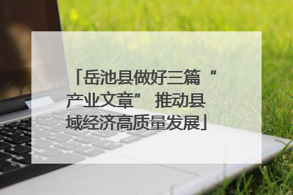 岳池县做好三篇“产业文章” 推动县域经济高质量发展