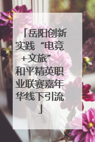 岳阳创新实践“电竞+文旅” 和平精英职业联赛嘉年华线下引流