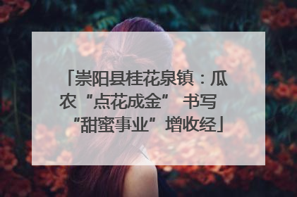 崇阳县桂花泉镇：瓜农“点花成金” 书写“甜蜜事业”增收经