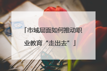 市域层面如何推动职业教育“走出去”